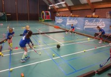 Junior Indoor Hockey camp Introduction afbeelding 3 Junior Indoor Hockey camp Introduction afbeelding 3