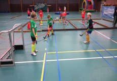 Junior Indoor Hockey camp Introduction afbeelding 6 Junior Indoor Hockey camp Introduction afbeelding 6