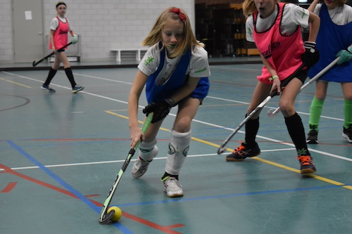 Pro indoor dagen Pro indoor dagen
